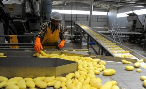 電加熱蒸汽鍋爐